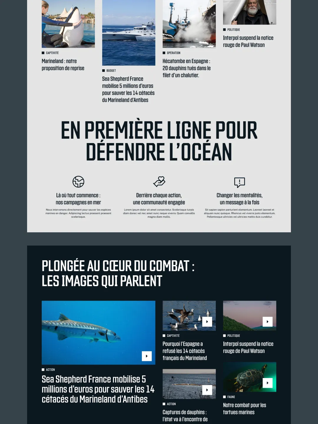 Interface du site Sea Shepherd repensée en plateforme digitale militante.