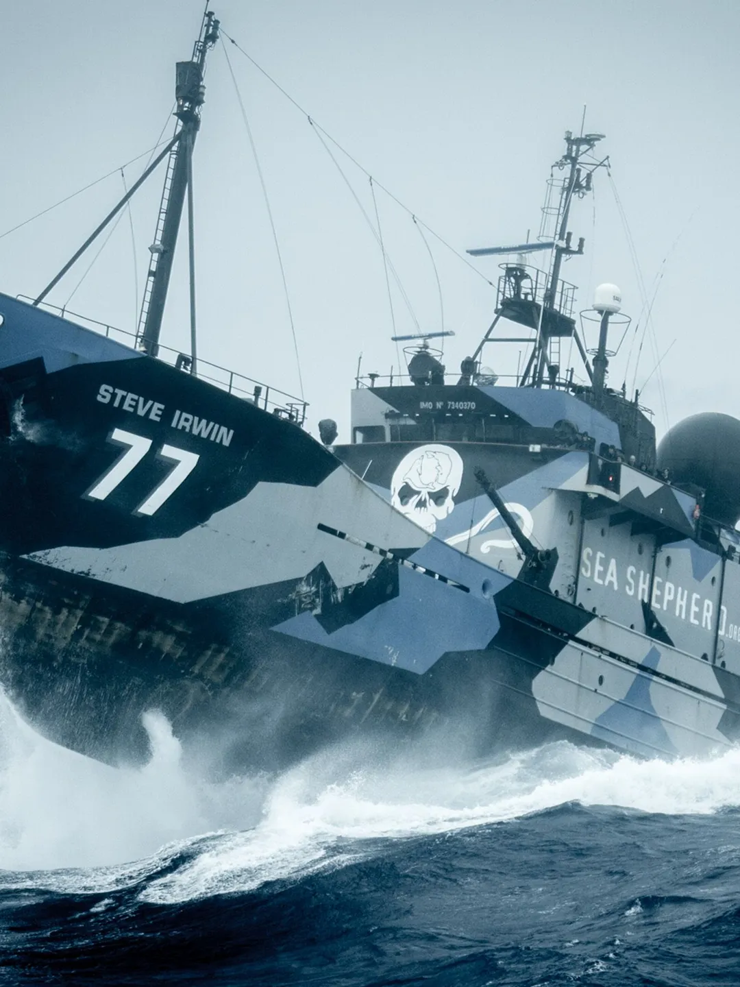 Visuel du site Sea Shepherd et du navire Steve Irwin.
